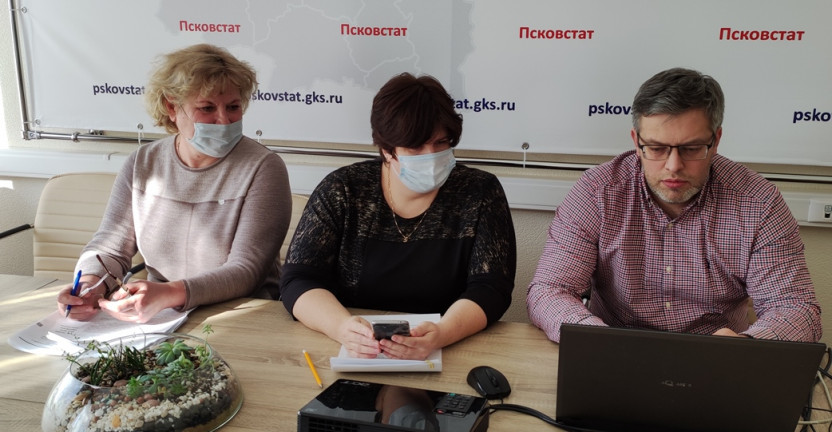 Псковстат провел вебинар с органами власти и бюджетными организациями
