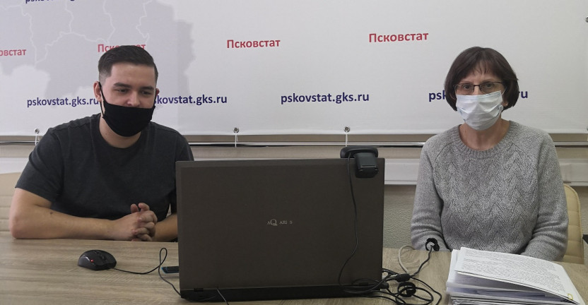 Псковстат провел вебинар по заполнению приложения к форме №1-предприятие